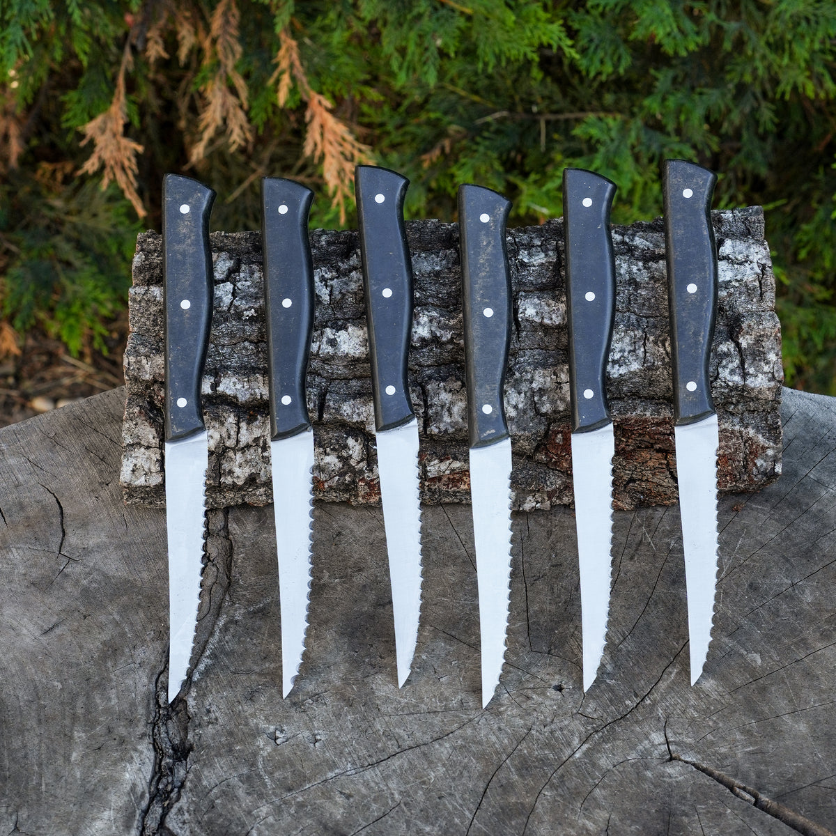Steak Knife - Servis Bıçağı - 6'lı Set