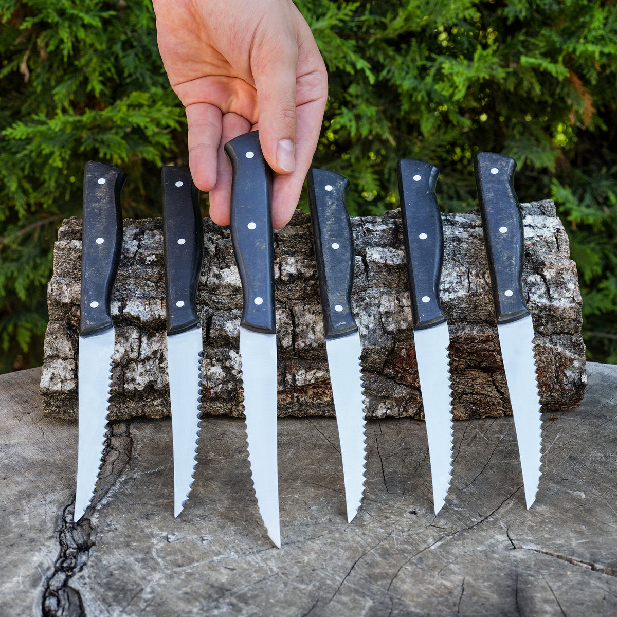 Steak Knife - Servis Bıçağı - 6'lı Set