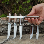 Profesyonel 6'lı Meyve - Sebze Bıçağı Seti – Ceviz Sap - 19 Cm