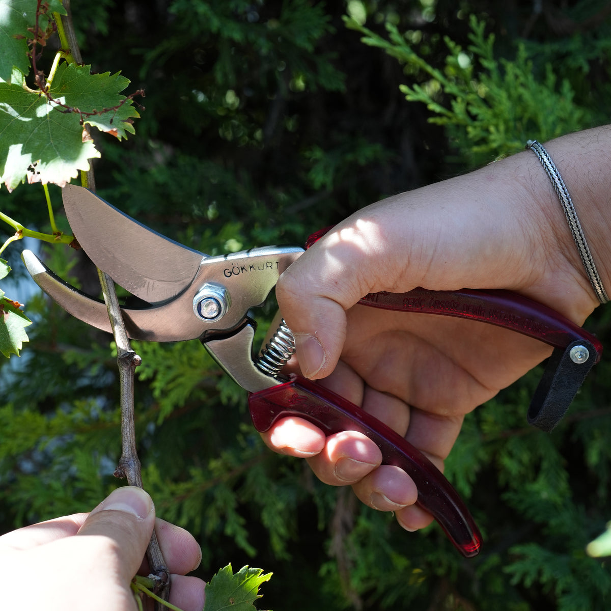 Bağ Makası - Tarihi Gökkurt Usta