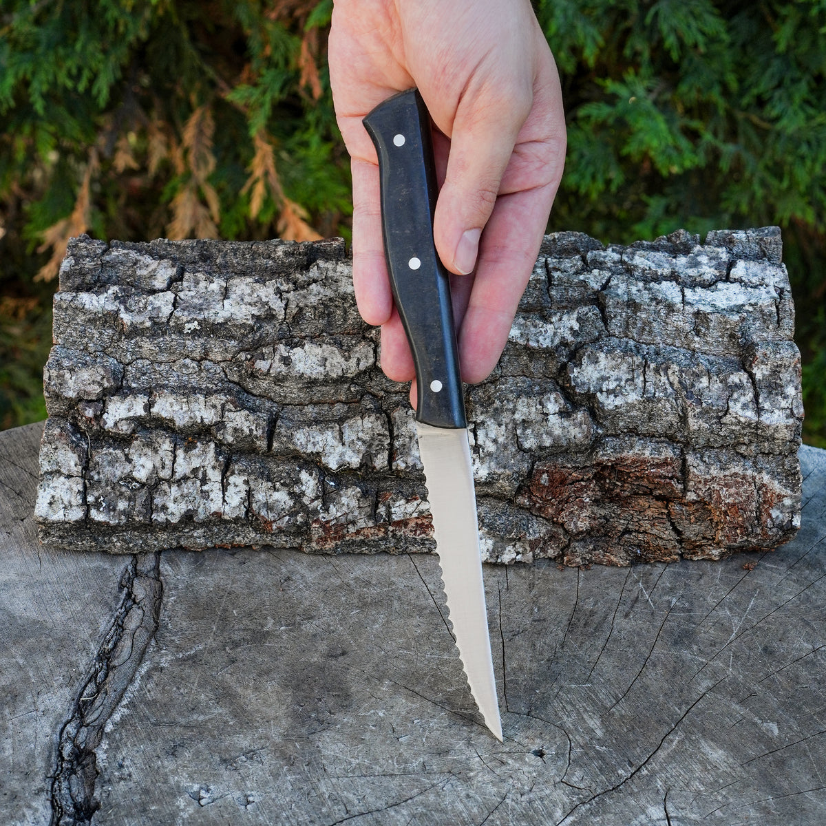 Steak Knife - Servis Bıçağı - 23 Cm
