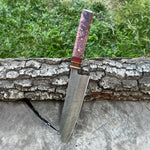 Gyuto Model Profesyonel Şef Bıçağı – N690 Çelik - Epoksi Sap