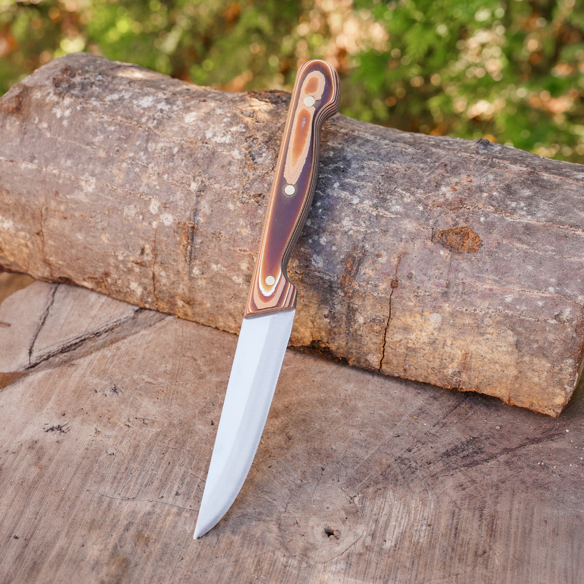 Profesyonel Meyve - Sebze Bıçağı – Verzalit Sap - 22 Cm - No:1