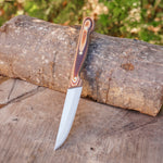 Profesyonel Meyve - Sebze Bıçağı – Verzalit Sap - 22 Cm - No:1