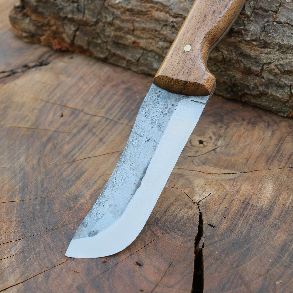 Kurban kesimi için özel tasarlanmış ceviz saplı yüzme bıçağı modeli