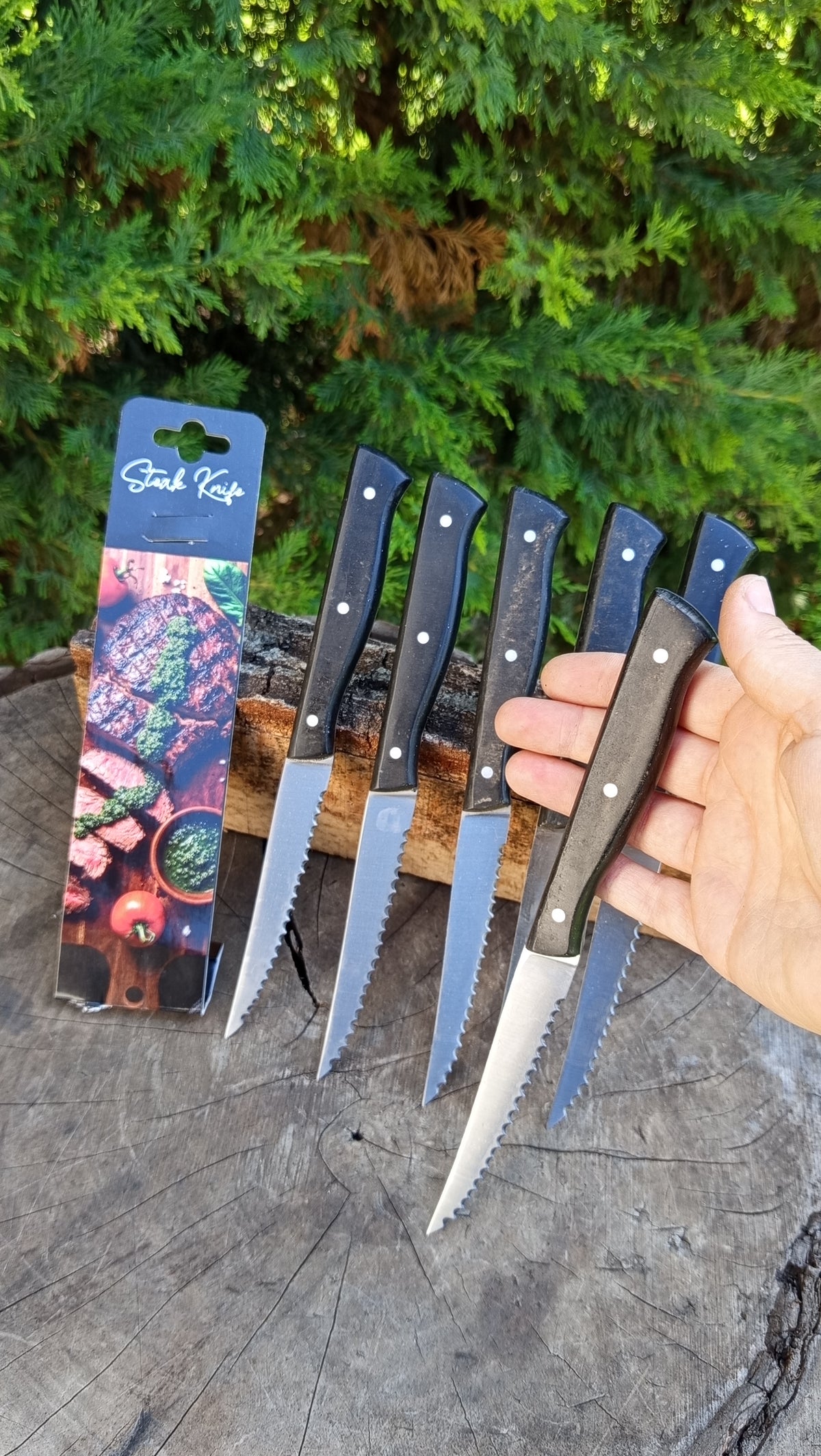 Steak Knife - Servis Bıçağı 23 Cm