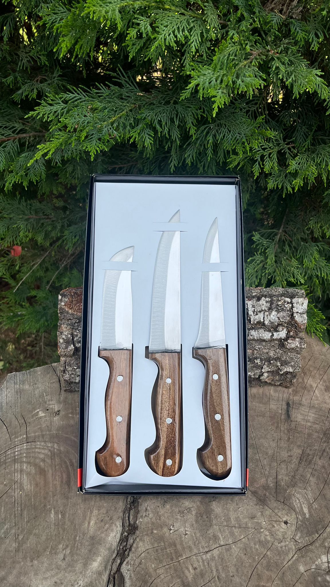 Kesme Bıçağı Seti 3'lü - Paslanmaz Çelik