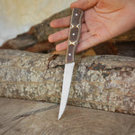 Steak Knife - Servis Bıçağı 23 Cm