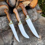 Kasap Bıçağı Seti 3'lü