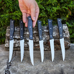 Steak Knife - Servis Bıçağı - 6'lı Set