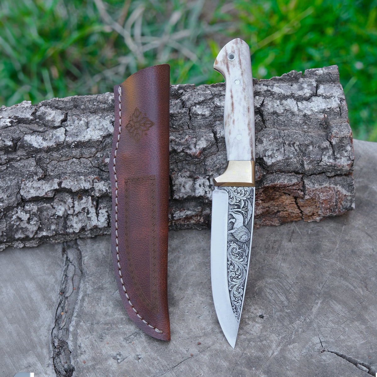 Aslan Gravür İşlemeli Koleksiyon Bıçak - N690 Çeliği - Geyik Sap - 24 Cm
