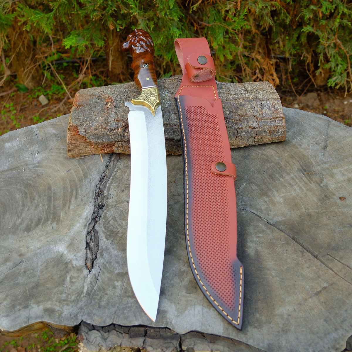 Aslan Başlı Orman Palası 45 Cm - Kök Ceviz Sap