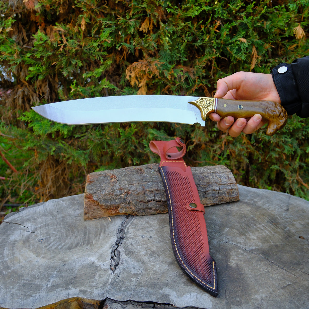 Kartal Başlı Orman Palası 45 Cm - Kök Ceviz Sap