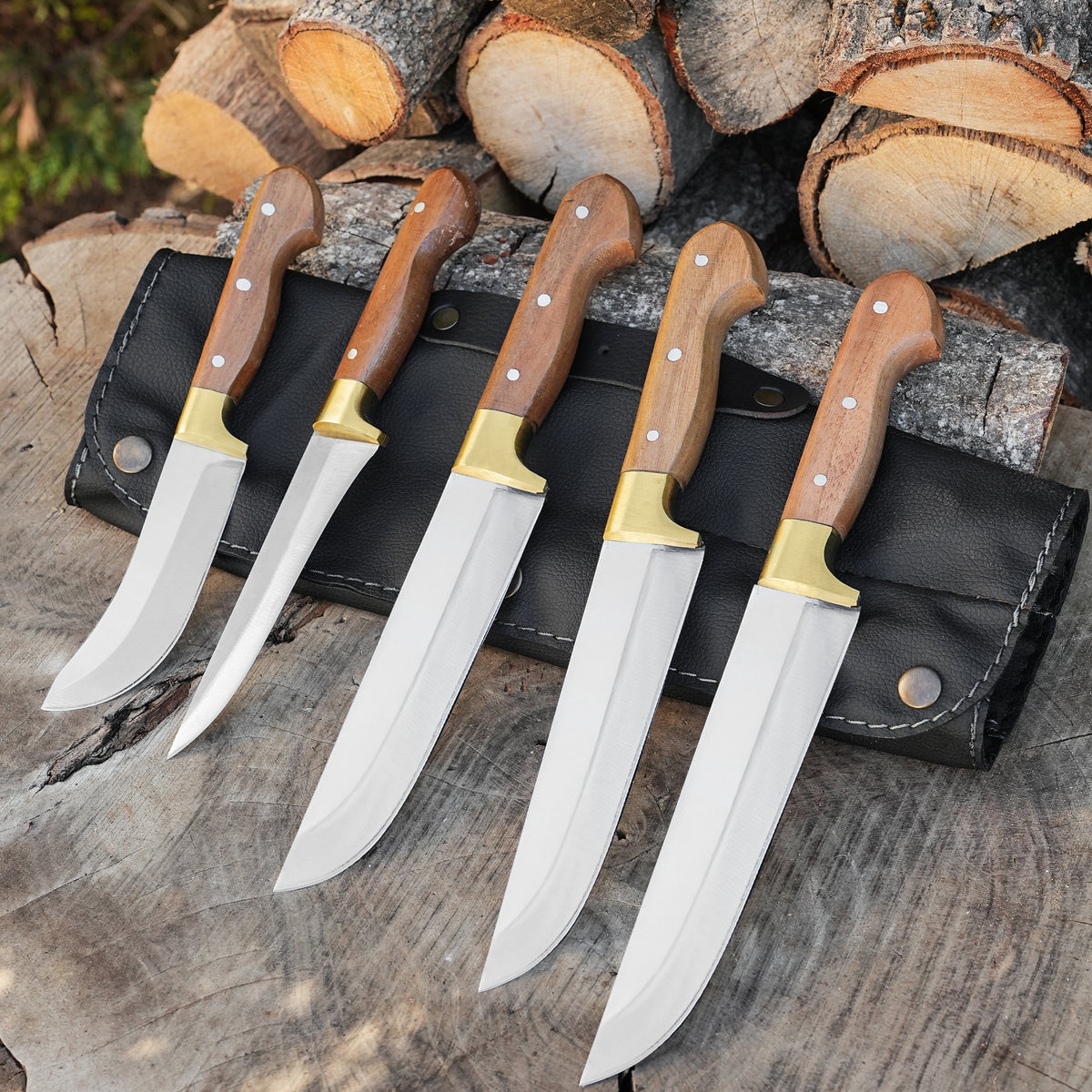 Kesme Bıçağı Seti - 5'li Paslanmaz Premium Kalite