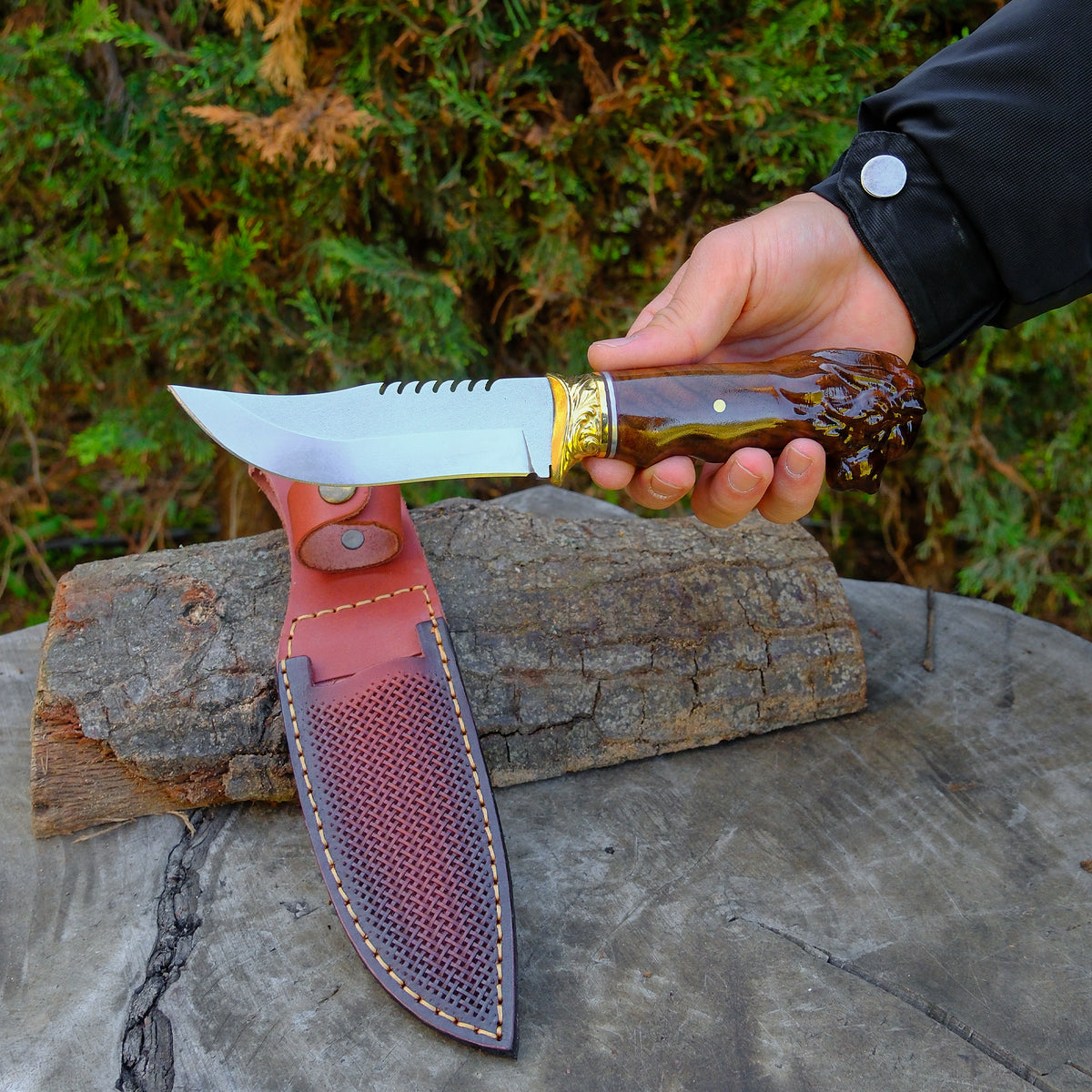 Aslan Başlı Koleksiyonluk ve Hediyelik - Tırtıklı / Desenli Balçak Bıçak - 25 Cm