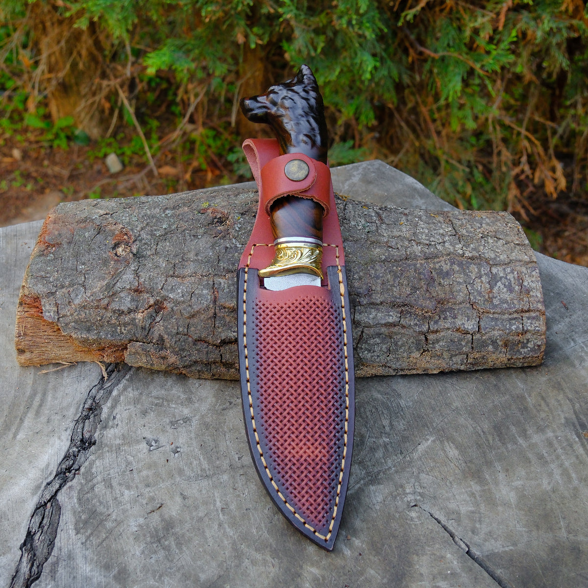 Kurt Başlı Koleksiyonluk ve Hediyelik - Tırtıklı / Desenli Balçak Bıçak - 25 Cm
