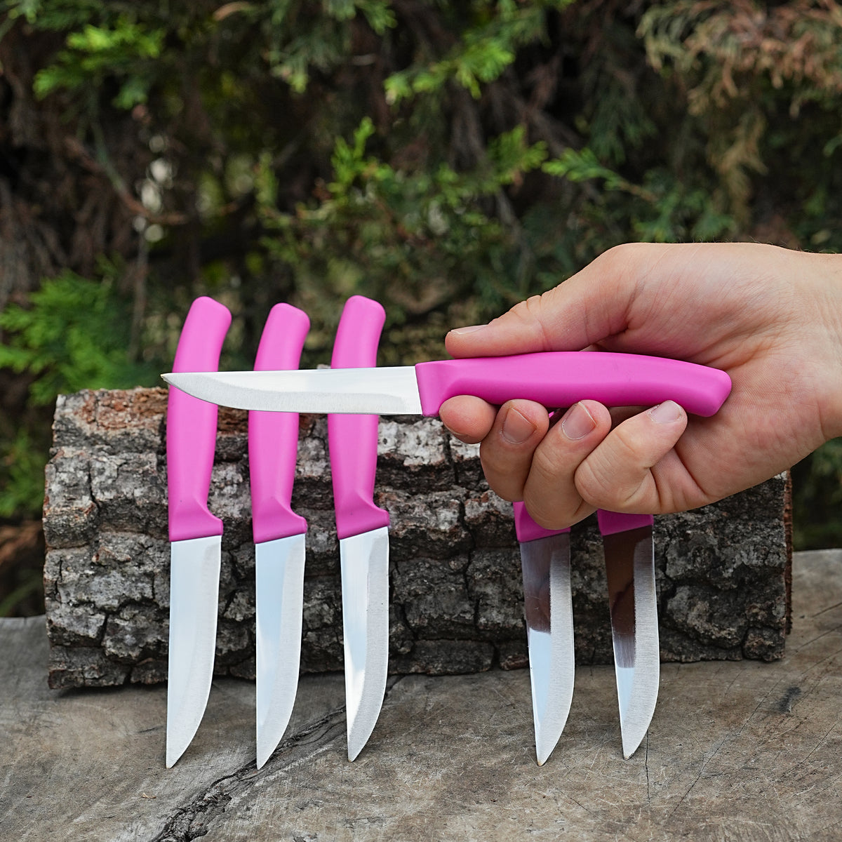 Profesyonel 6'lı Meyve - Sebze Bıçağı Seti – Plastik Sap - 20 Cm