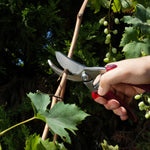 Bağ Makası - Tarihi Gökkurt Usta