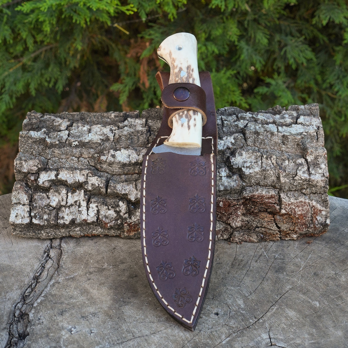 Av Bıçağı 24 Cm - Geyik Boynuzu Sap