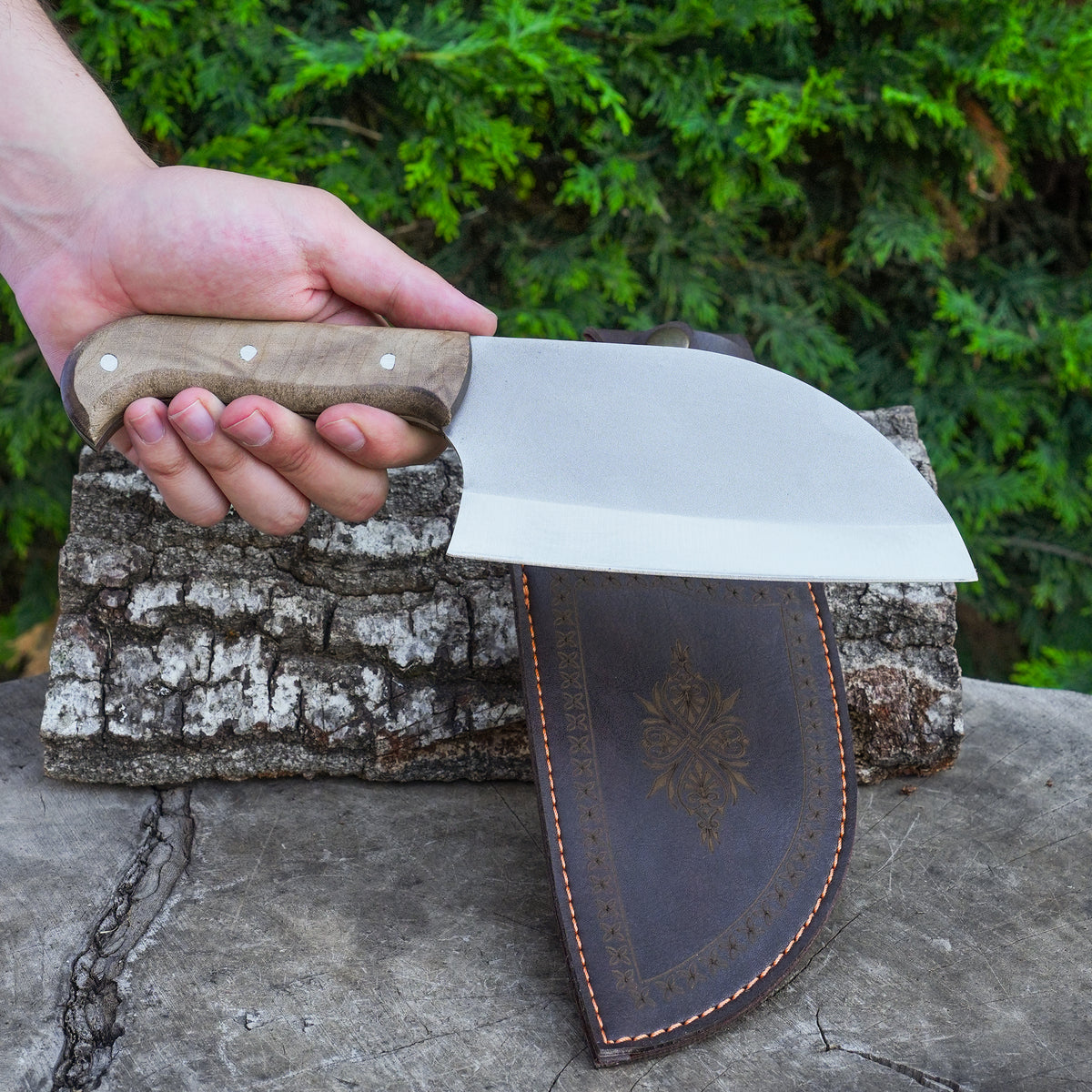 Almazan Model - 26 Cm