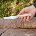 Profesyonel Meyve - Sebze Bıçağı – Verzalit Sap - 22 Cm - No:1