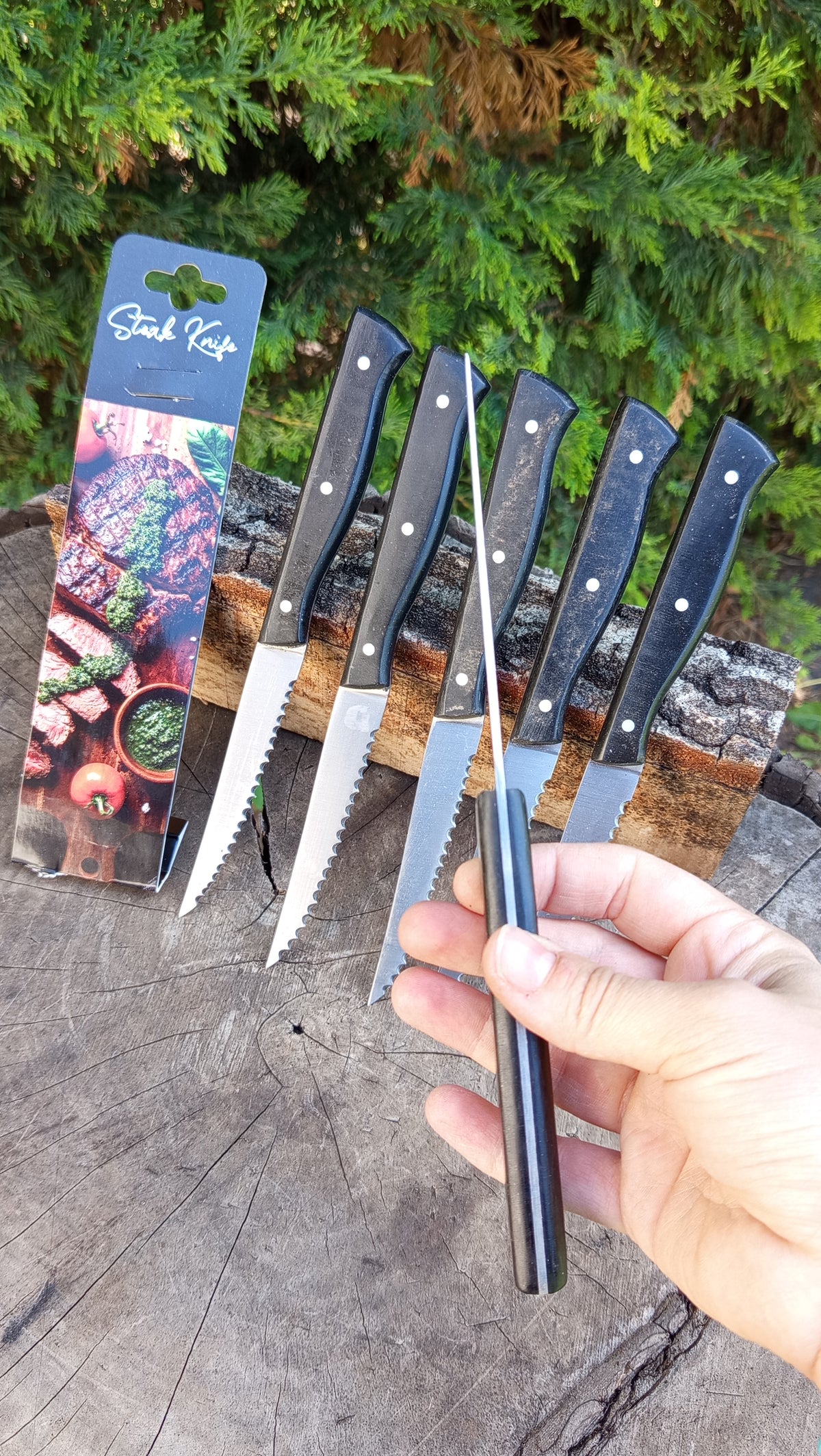 Steak Knife - Servis Bıçağı - 6'lı Set