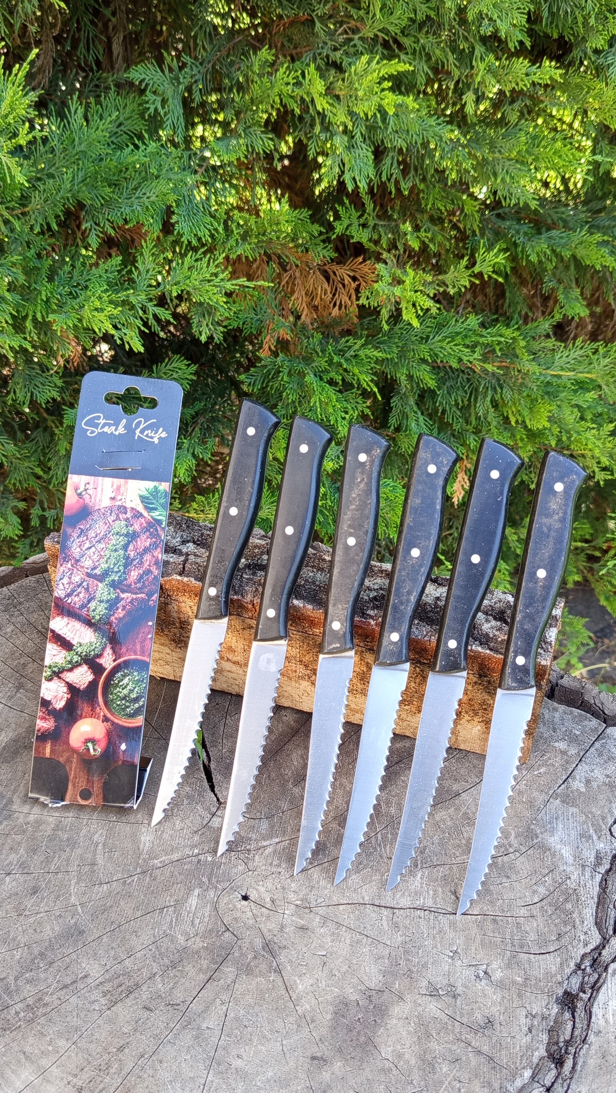 Steak Knife - Servis Bıçağı - 6'lı Set