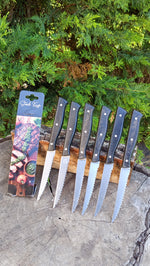 Steak Knife - Servis Bıçağı - 6'lı Set